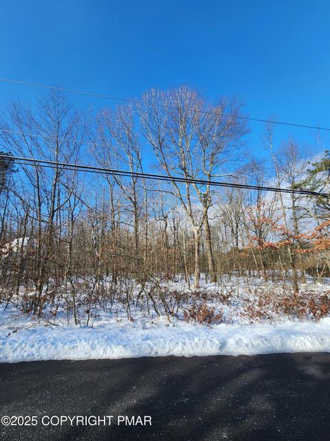 Vacant Land For Sale - LOT D423 Panther Run Road<br/> Jim Thorpe, PA 18229
