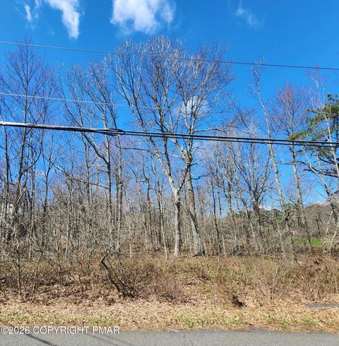 Vacant Land For Sale - LOT D423 Panther Run Road<br/> Jim Thorpe, PA 18229