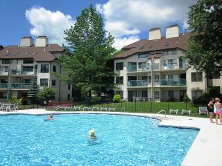55 Midlake Drive # 102H, Lake Harmony, Pennsylvania image 46