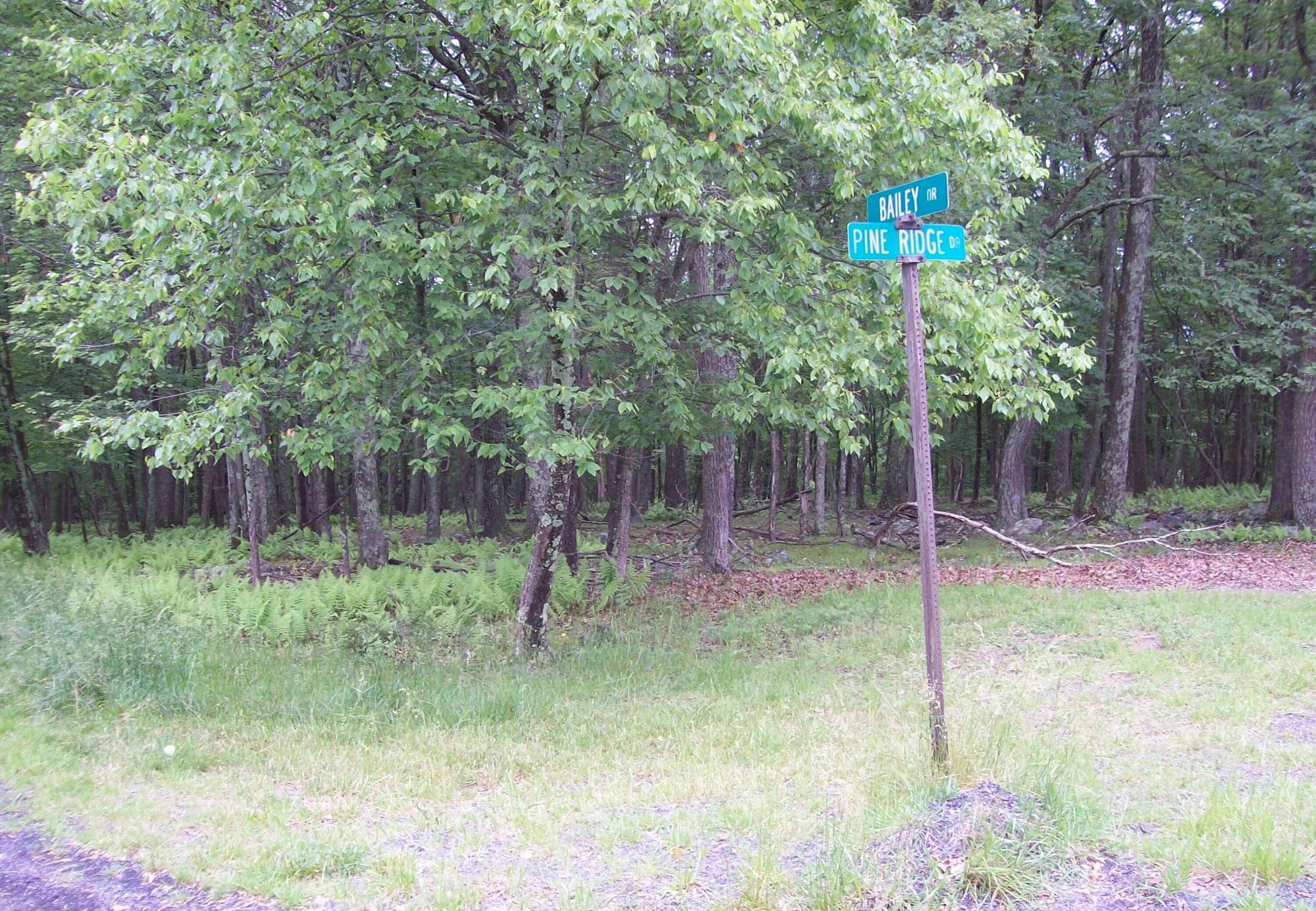 Lot 151 Pine Ridge Drive, Bushkill, Pennsylvania image 3