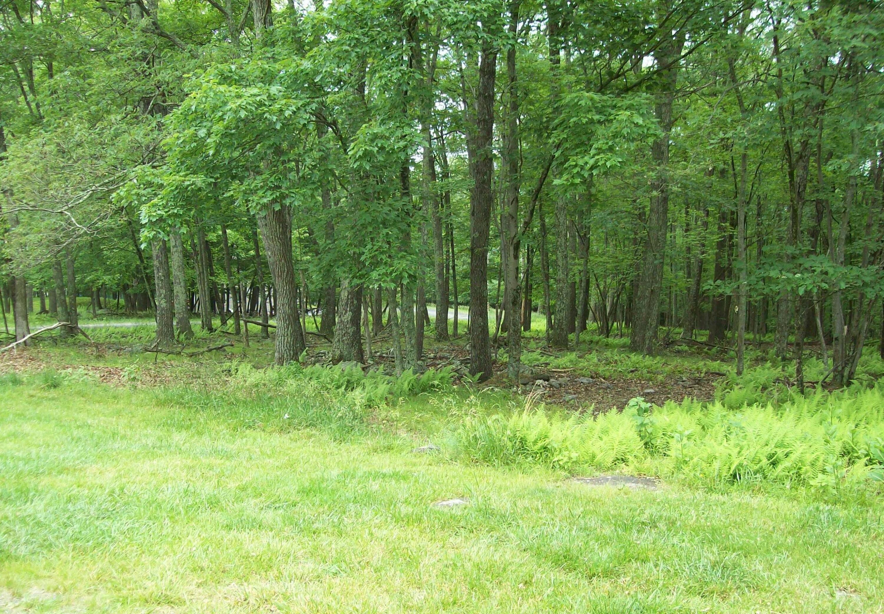 Lot 151 Pine Ridge Drive, Bushkill, Pennsylvania image 2
