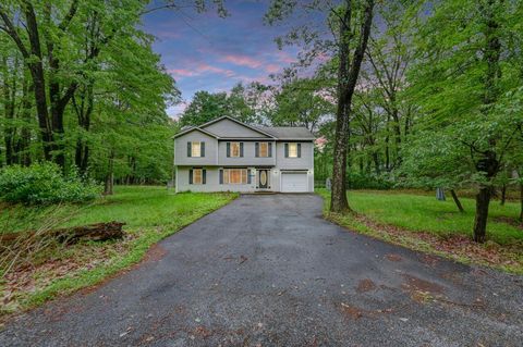 1162 Colt Lane Pocono Summit PA 18346