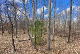 00 Navaho Path, Gouldsboro, Pennsylvania image 2