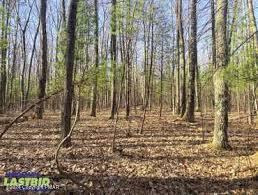 00 Navaho Path, Gouldsboro, Pennsylvania image 3