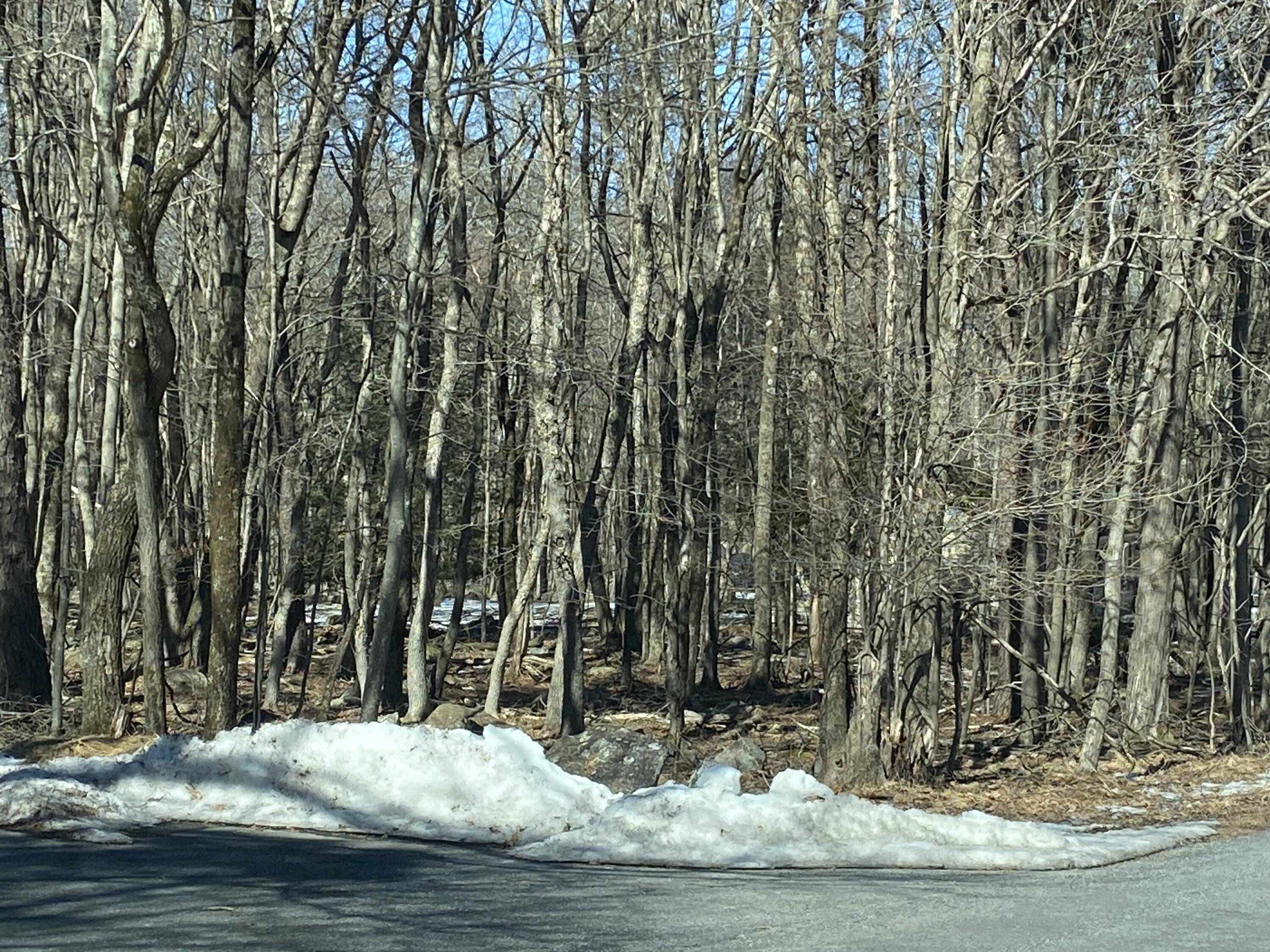 Lot EV593 Jeffers Way & Lang Way, Albrightsville, Pennsylvania image 3