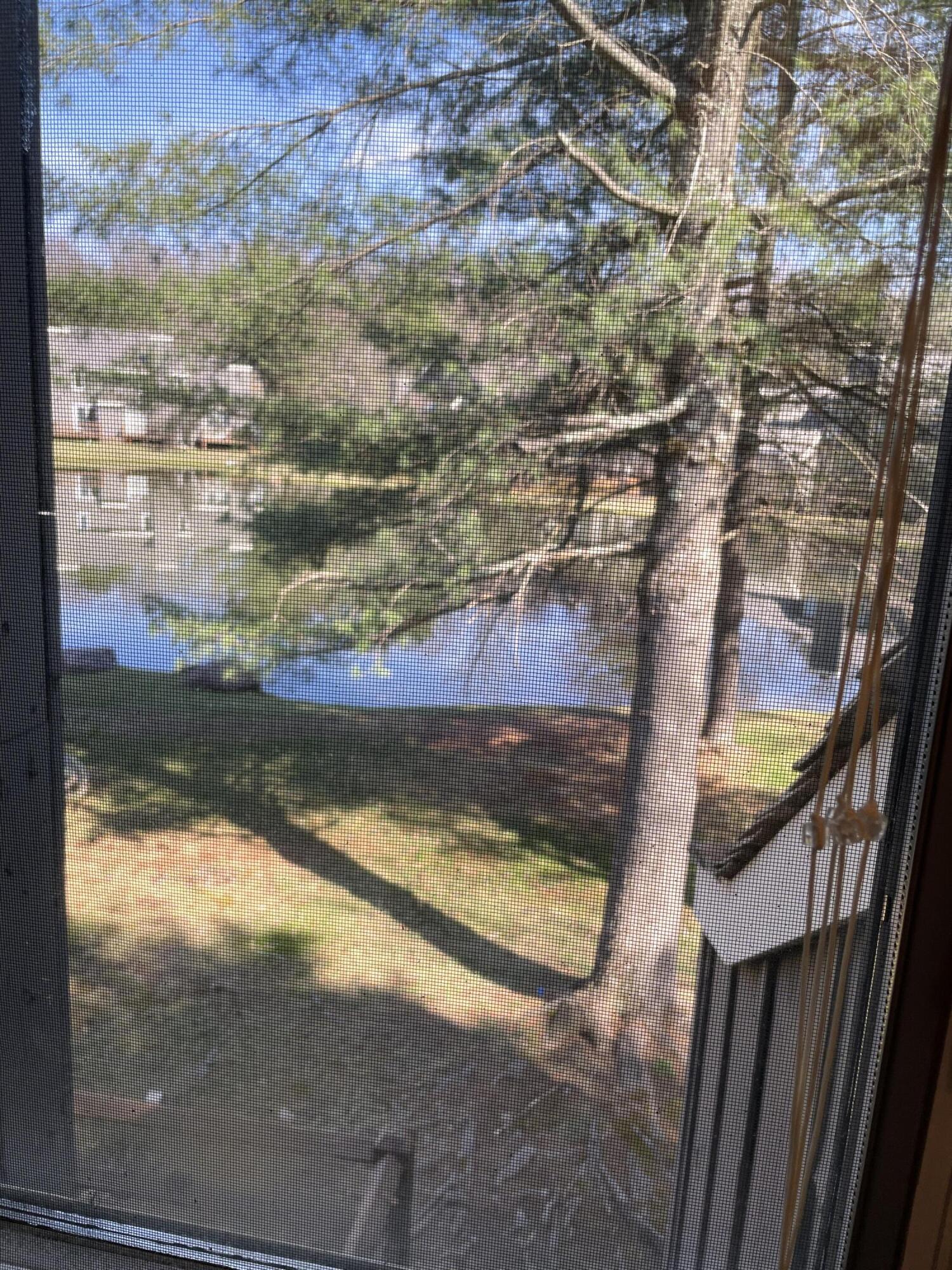 118 Snow Ridge Circle, Lake Harmony, Pennsylvania image 31