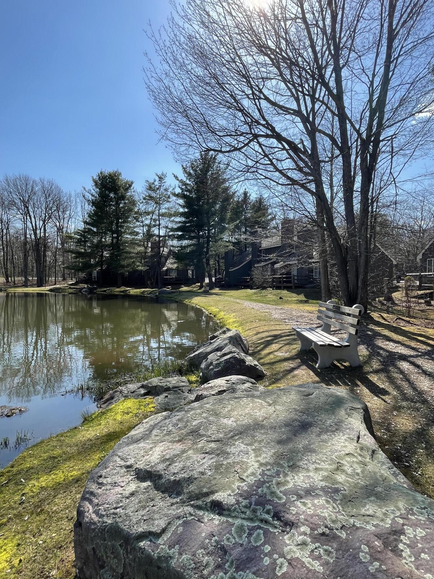 118 Snow Ridge Circle, Lake Harmony, Pennsylvania image 48