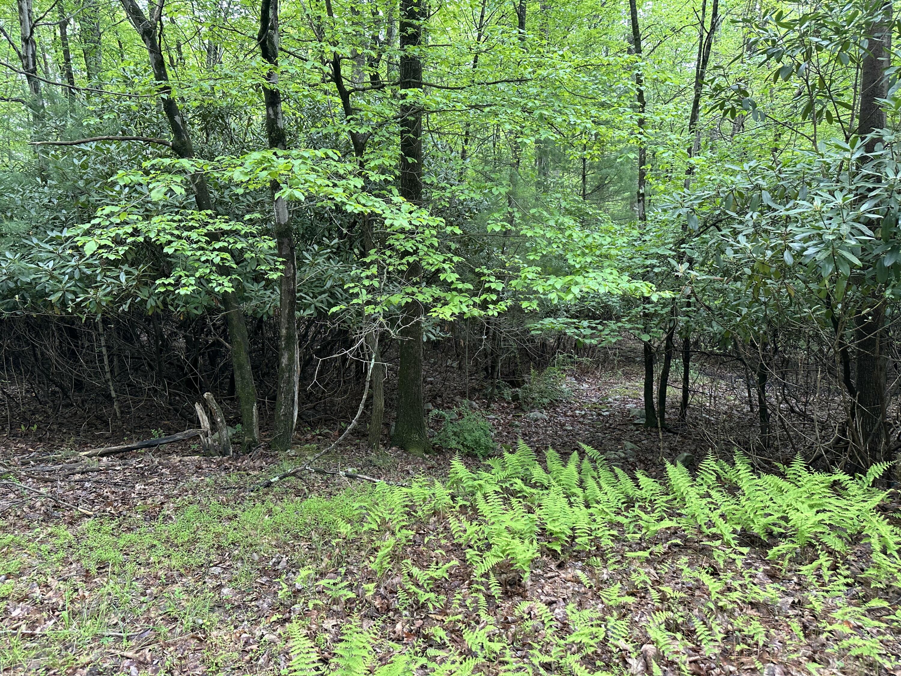 W14 Green Wood Dr, Kunkletown, Pennsylvania image 1