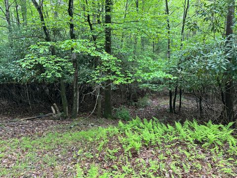 W14 Green Wood Dr Kunkletown PA 18058