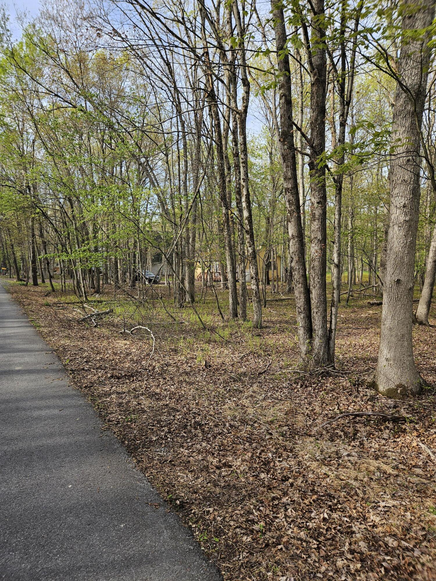 Kipling Lane, Albrightsville, Pennsylvania image 3