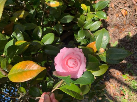 Tiny photo for 1729 Oak Drive, Augusta, GA 30904 (MLS # 548788)