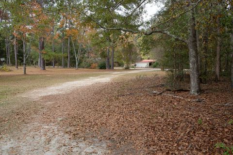 Tiny photo for 218 E Sheppard Street, Stapleton, GA 30823 (MLS # 548904)