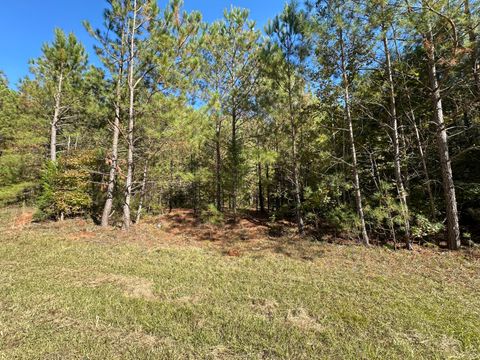 Photo of 00 Crook Road, Lincolnton, GA 30817 (MLS # 549278)