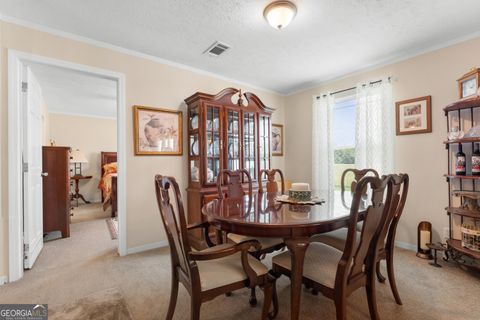 Tiny photo for 3516 Bennetts Landing Road, Millen, GA 30442 (MLS # 546365)