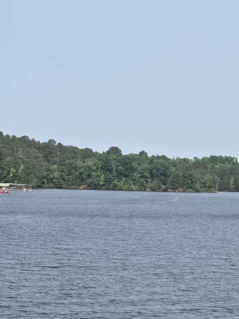 Photo of 0 Mccormick Hwy Highway, Lincolnton, GA 30817 (MLS # 542621)