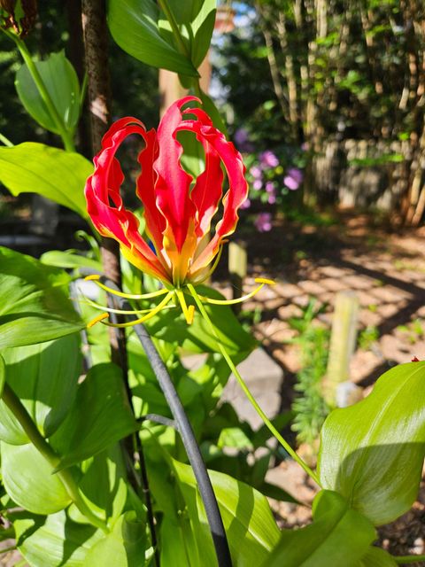 Tiny photo for 3039 Tarleton Court, Beech Island, SC 29842 (MLS # 543934)