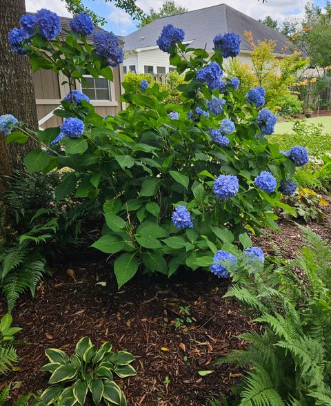 Tiny photo for 3039 Tarleton Court, Beech Island, SC 29842 (MLS # 543934)