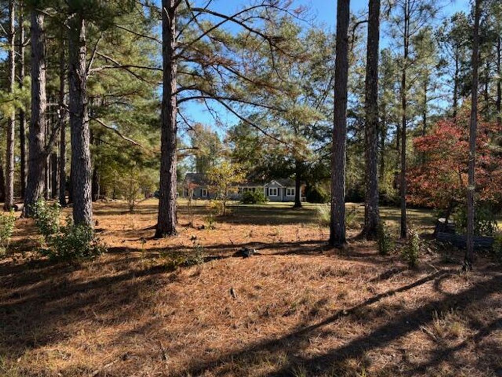 Photo of 131 Marks Walden Rd Road, Blythe, GA 30805 (MLS # 549187)
