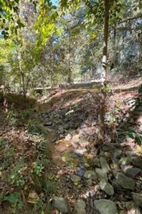 Tiny photo for 335 Saddletree Lane, Martinez, GA 30907 (MLS # 548906)