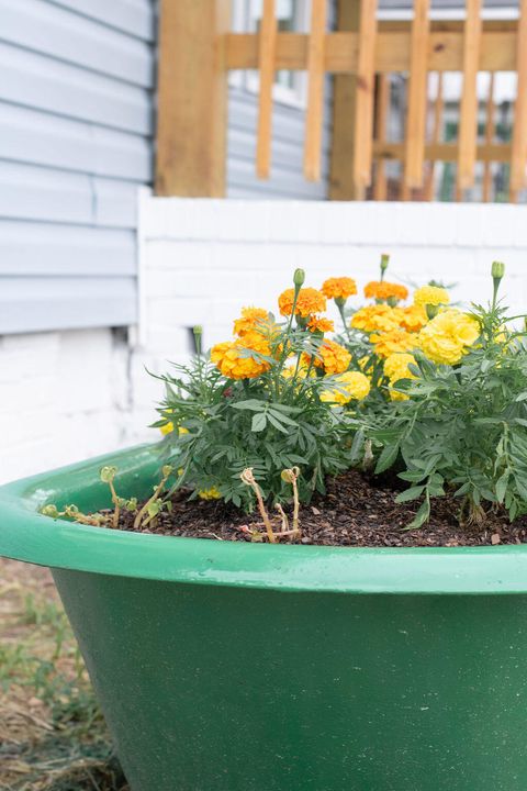 Tiny photo for 1151 Roselle Street, Augusta, GA 30901 (MLS # 551025)