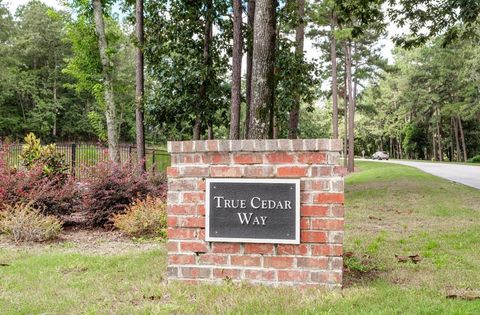 Tiny photo for 429 True Cedar Way, Aiken, SC 29803 (MLS # 549632)