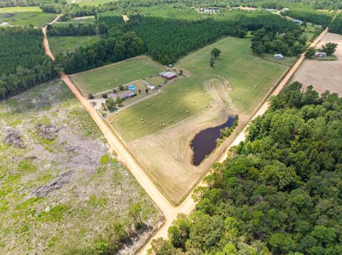 Tiny photo for 5420 Martin Road, Millen, GA 30442 (MLS # 546371)