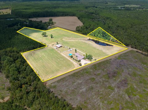 Tiny photo for 5420 Martin Road, Millen, GA 30442 (MLS # 546371)