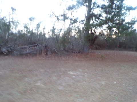 Tiny photo for 3553 Gant Jackson Road, Dearing, GA 30808 (MLS # 551113)