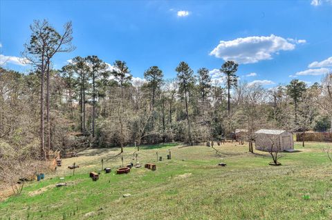 Tiny photo for 3748 Pinnacle Place Drive, Hephzibah, GA 30815 (MLS # 553118)