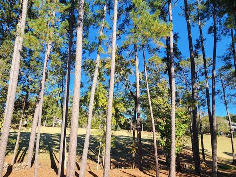 Tiny photo for 314 Palmer Lane, McCormick, SC 29835 (MLS # 548938)