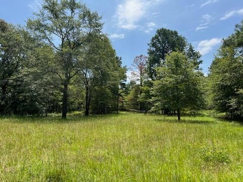 Tiny photo for 3395 Gough Road, Louisville, GA 30434 (MLS # 544934)