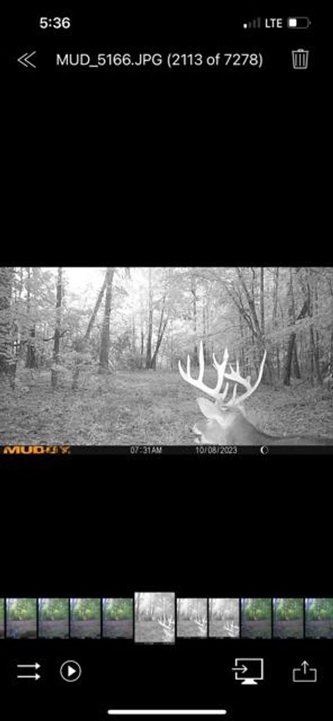 Tiny photo for 3395 Gough Road, Louisville, GA 30434 (MLS # 544934)