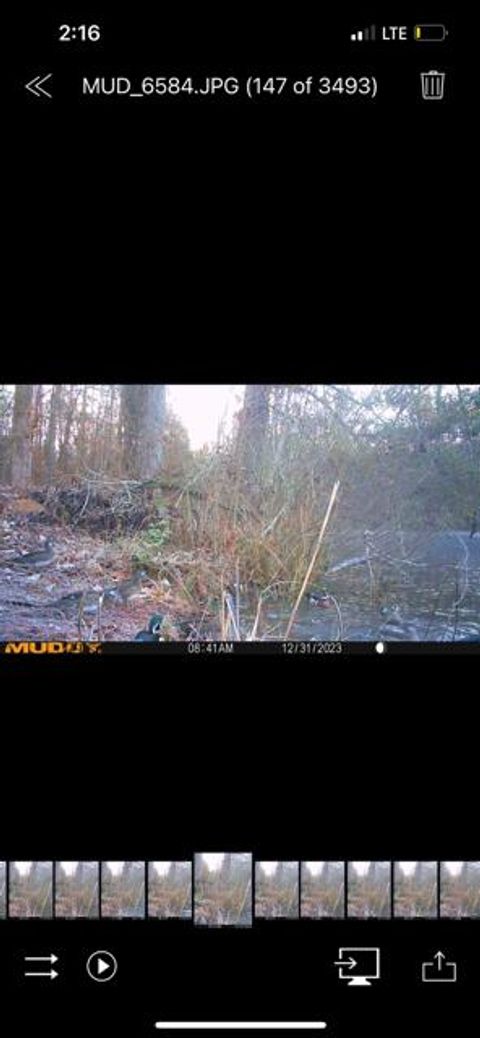 Tiny photo for 3395 Gough Road, Louisville, GA 30434 (MLS # 544934)