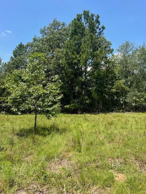 Tiny photo for 3395 Gough Road, Louisville, GA 30434 (MLS # 544934)