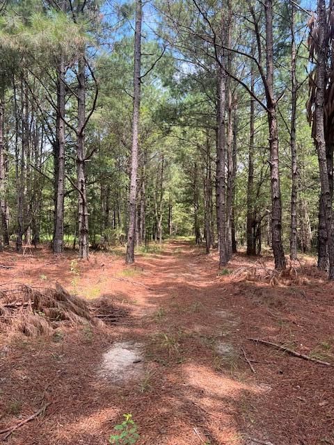 Tiny photo for 3395 Gough Road, Louisville, GA 30434 (MLS # 544934)