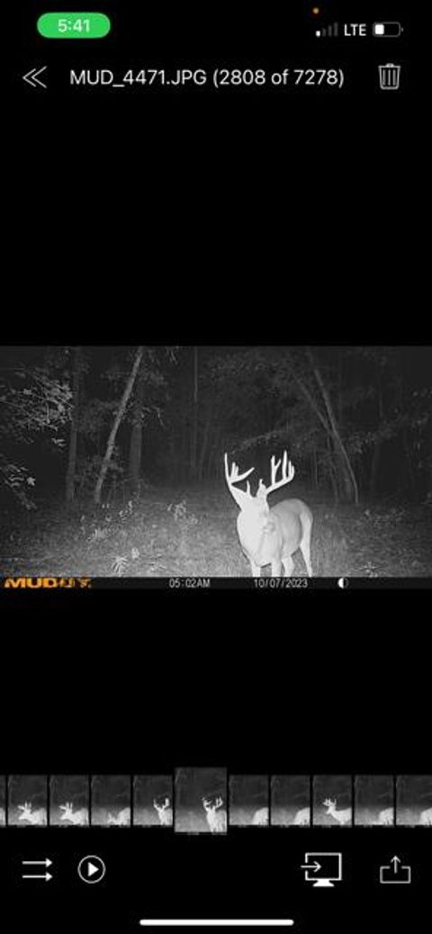 Tiny photo for 3395 Gough Road, Louisville, GA 30434 (MLS # 544934)