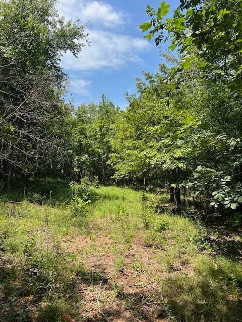 Tiny photo for 3395 Gough Road, Louisville, GA 30434 (MLS # 544934)