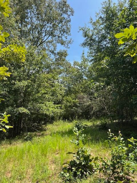 Tiny photo for 3395 Gough Road, Louisville, GA 30434 (MLS # 544934)