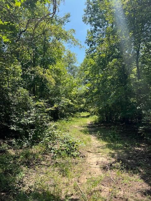 Tiny photo for 3395 Gough Road, Louisville, GA 30434 (MLS # 544934)