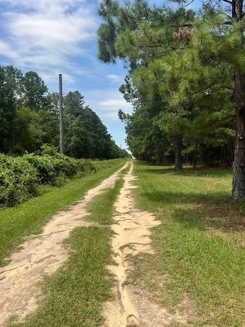 Tiny photo for 3395 Gough Road, Louisville, GA 30434 (MLS # 544934)