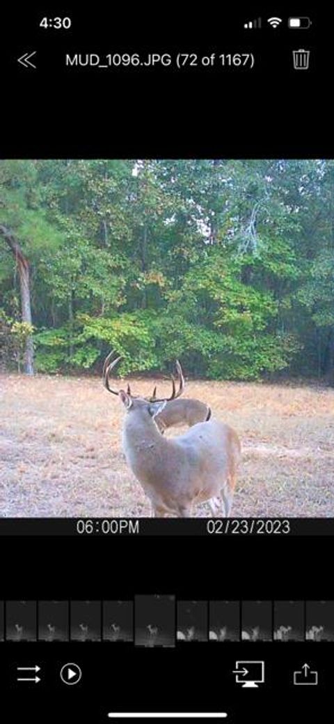 Tiny photo for 3395 Gough Road, Louisville, GA 30434 (MLS # 544934)