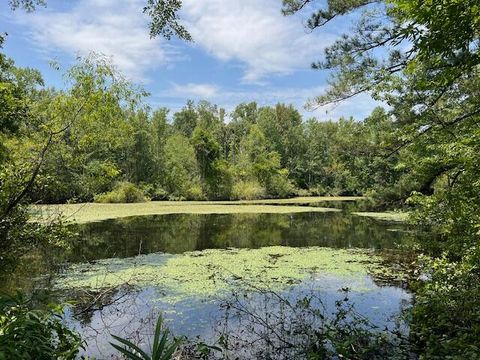 Tiny photo for 3395 Gough Road, Louisville, GA 30434 (MLS # 544934)