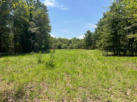 Tiny photo for 3395 Gough Road, Louisville, GA 30434 (MLS # 544934)