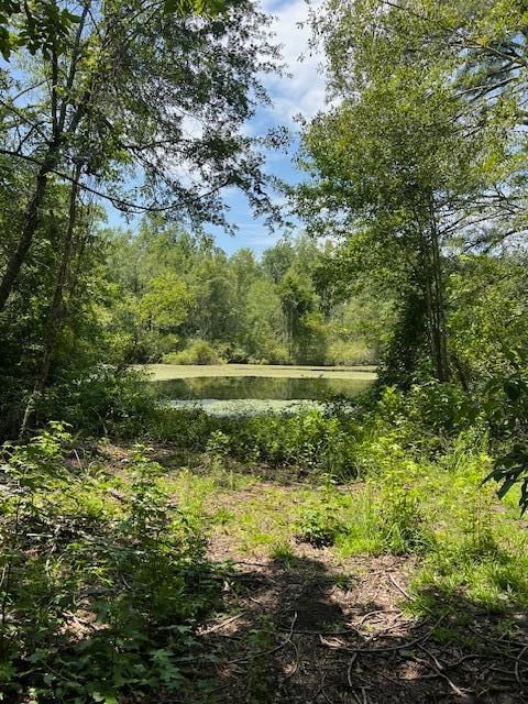 Tiny photo for 3395 Gough Road, Louisville, GA 30434 (MLS # 544934)