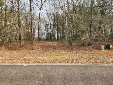 Photo of 0 Cason Creek Subd, Louisville, GA 30434 (MLS # 551618)