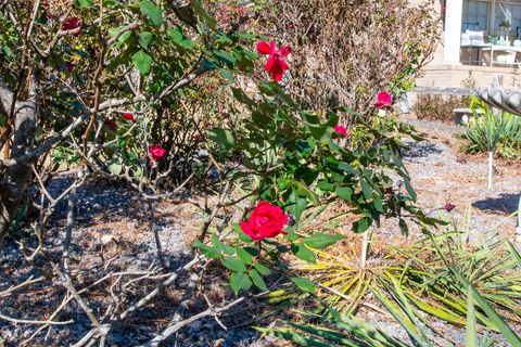 Tiny photo for 1515 Brookstone Drive, Graniteville, SC 29829 (MLS # 549441)