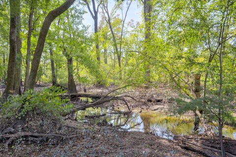 Tiny photo for 129 Brannen Landing Landing, Midville, GA 30441 (MLS # 547074)