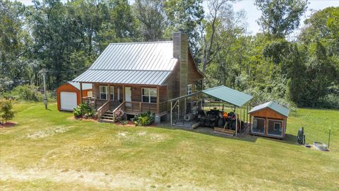 Tiny photo for 129 Brannen Landing Landing, Midville, GA 30441 (MLS # 547074)