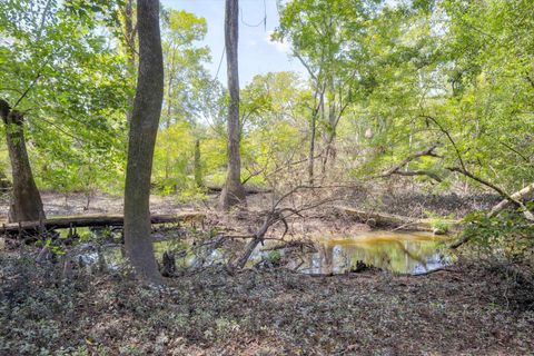 Tiny photo for 129 Brannen Landing Landing, Midville, GA 30441 (MLS # 547074)