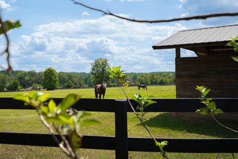 Tiny photo for 1165 Estancia Lane, Wagener, SC 29164 (MLS # 548637)